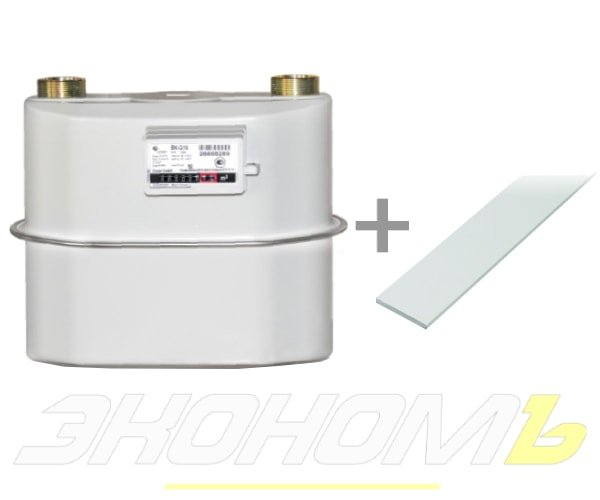 Счетчик газа с пленкой Elster BК-G16