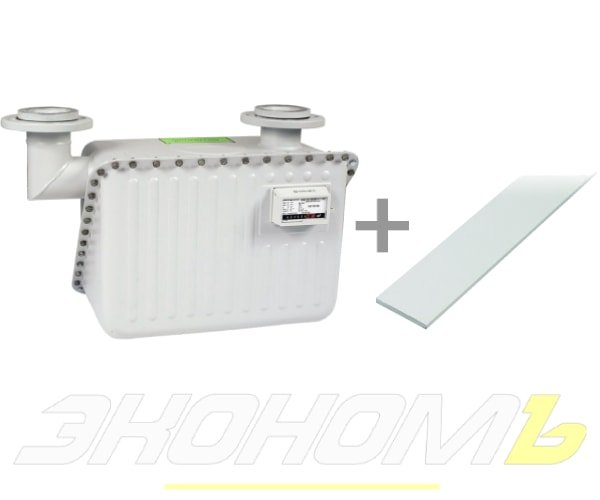 Счетчик газа с пленкой Elster BК-G40