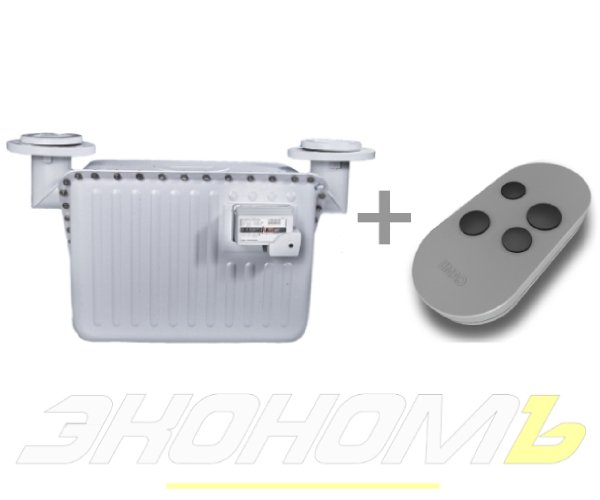 Счетчик газа с пультом Elster BК-G65